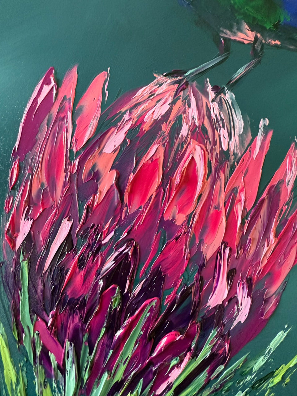 Kirstenbosch's Pride