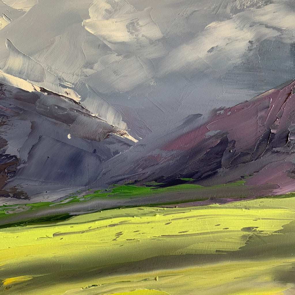 Caledon Canola Fields