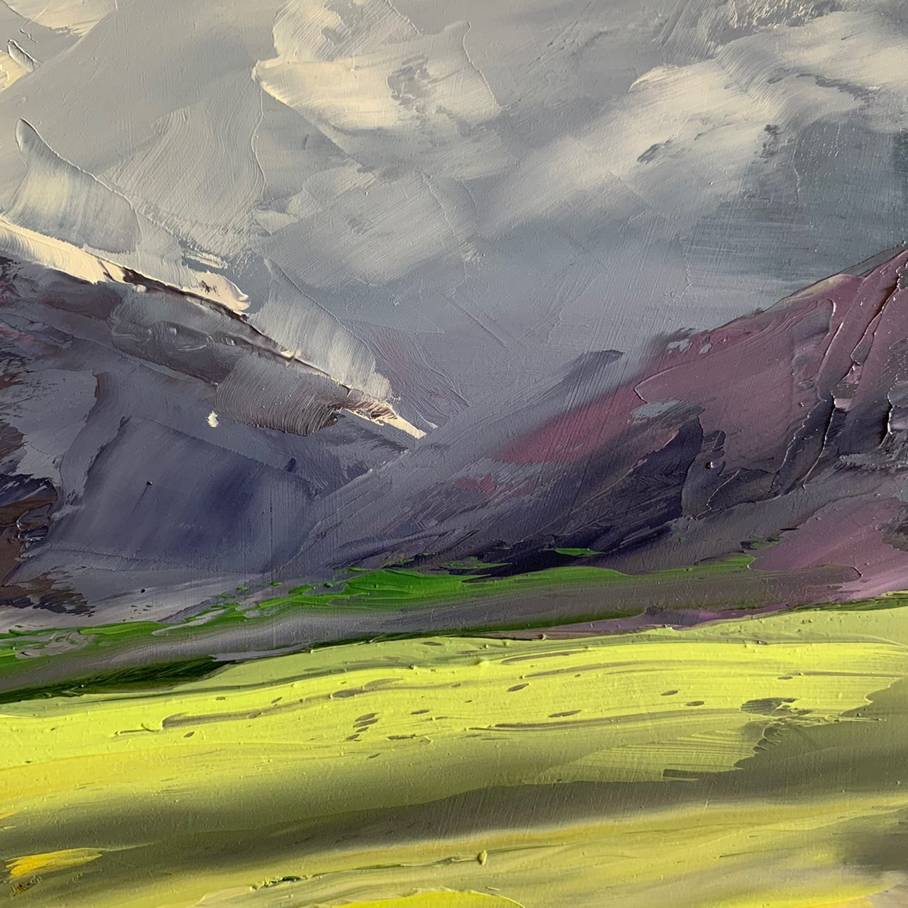 Caledon Canola Fields