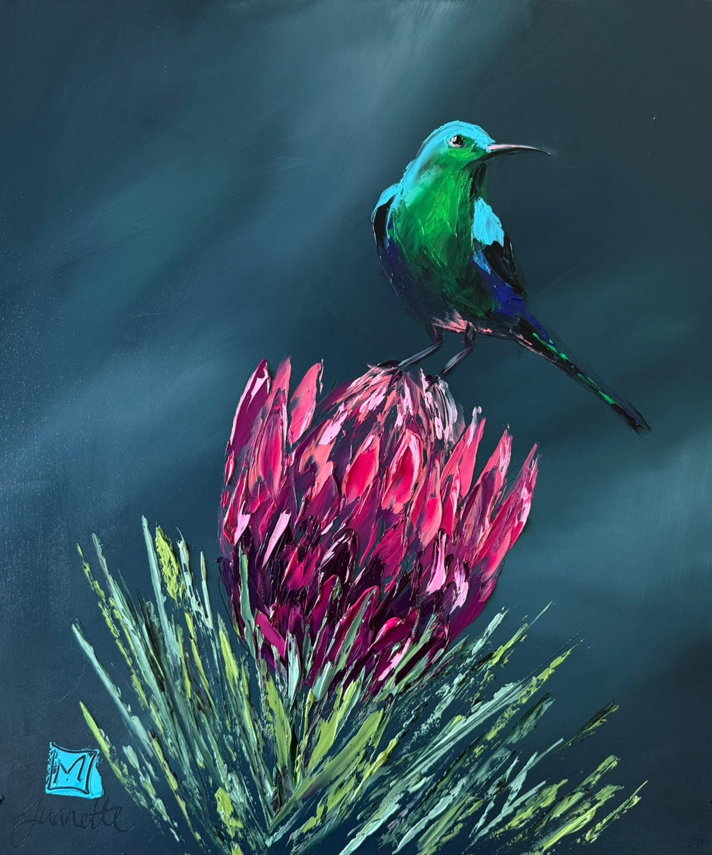 Kirstenbosch's Pride