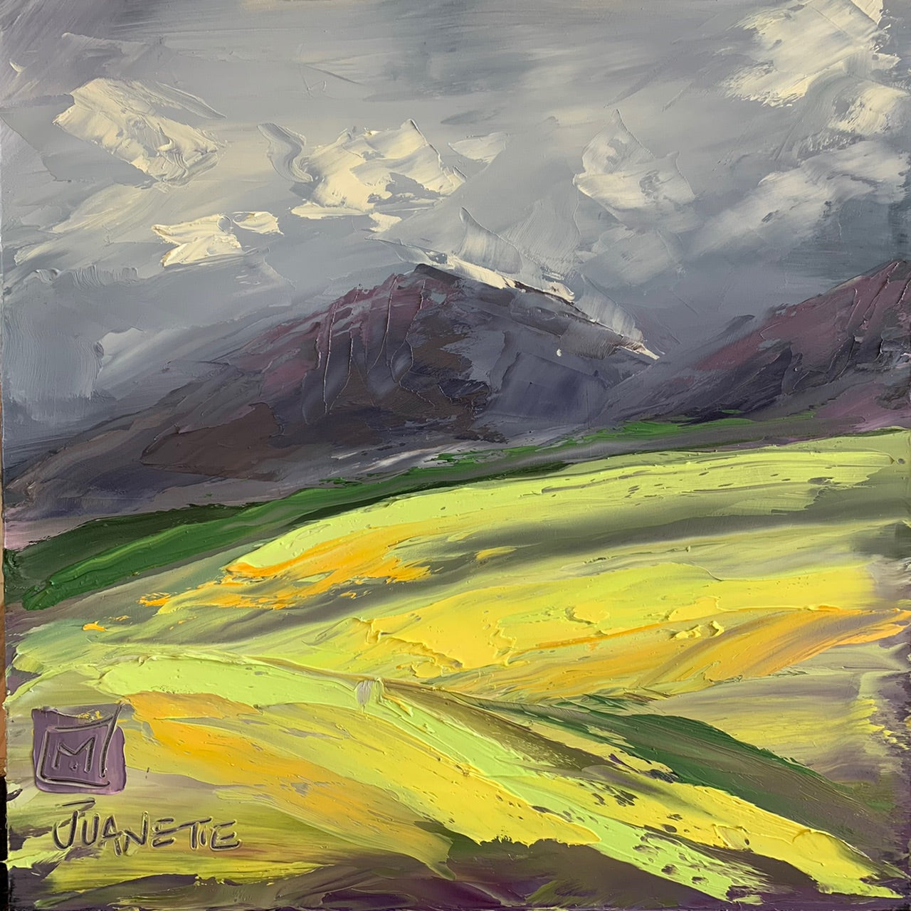 Caledon Canola Fields