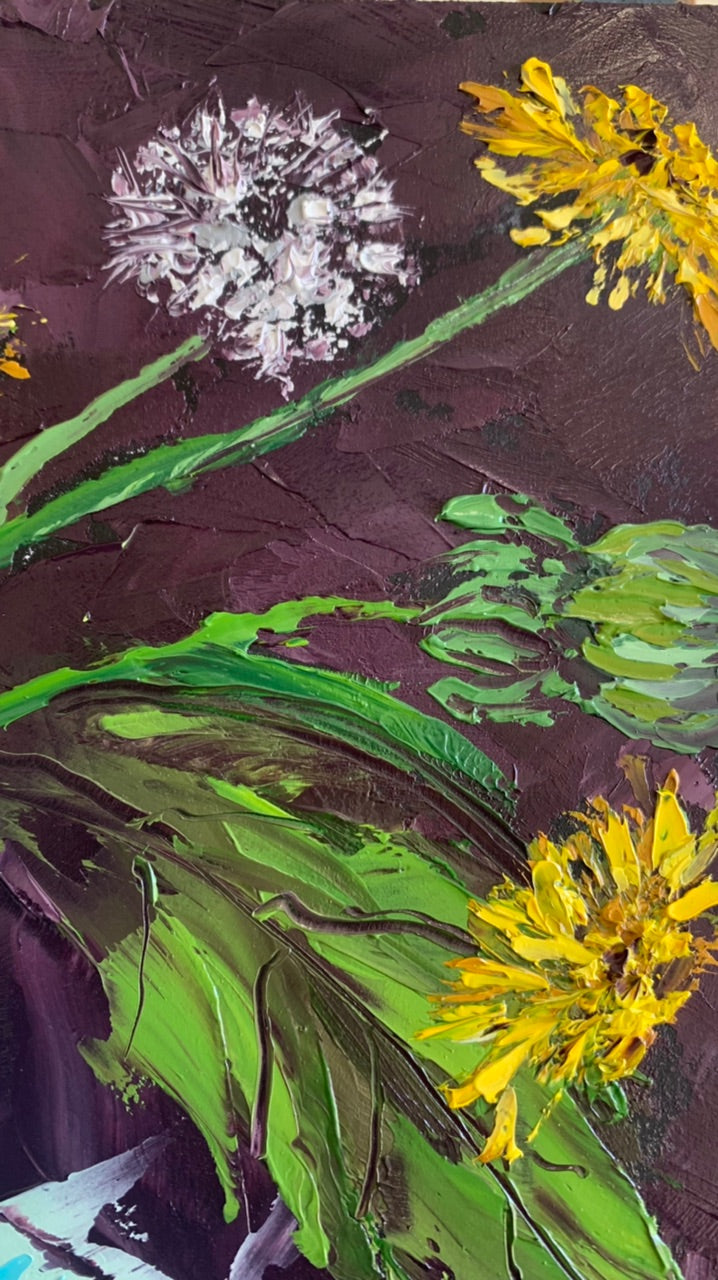 Dandelions on my mind