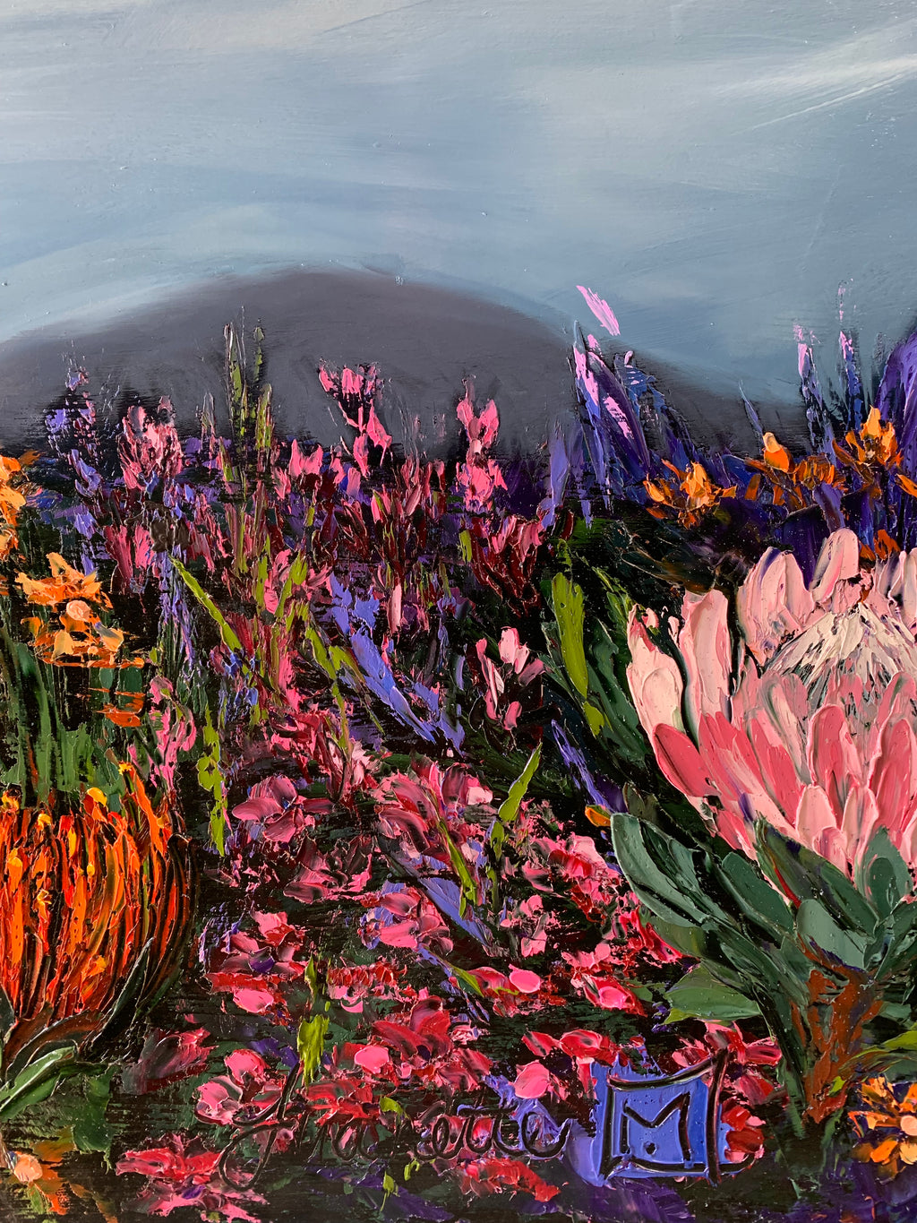 Fynbos Horizon