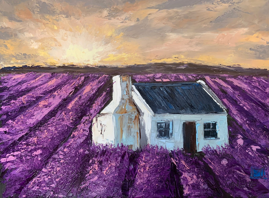 Lavender Sunset