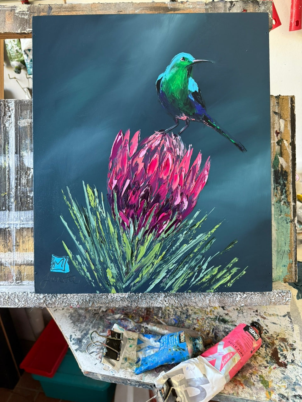 Kirstenbosch's Pride